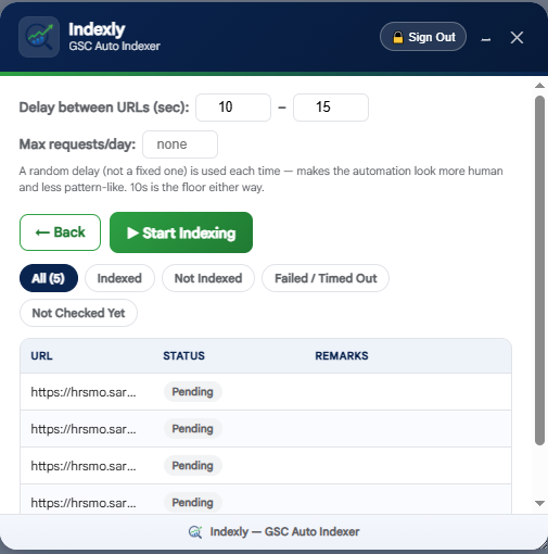 Indexly's results table showing each URL's status after a run